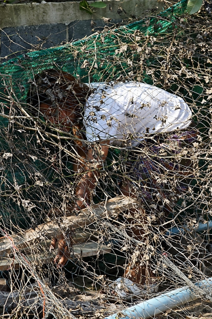 Famille et amis Mai 2011-095